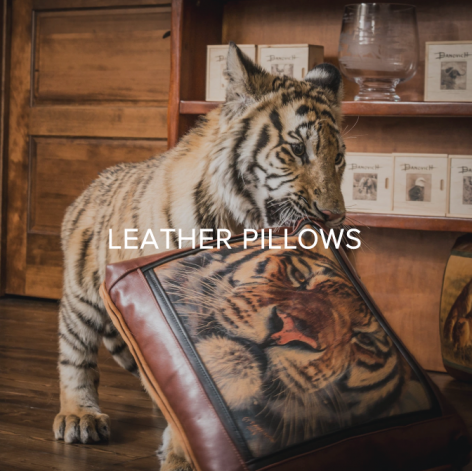 You GIVE BACK when you collect Banovich Wild Accents - SHOP WILD ACCENT PILLOWS
