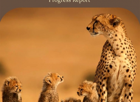Mara Cheetah Project-Annual Report 2016